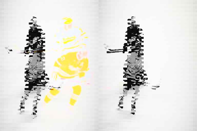 Last-Second Goal Lifts Underdogs to Provincial Hockey Championship